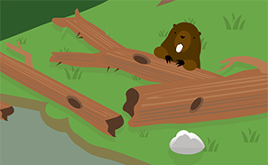 Play Build a Beaver Dam