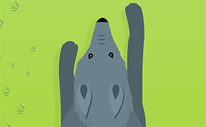 Play Wolf Chase